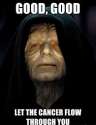palp.jpg