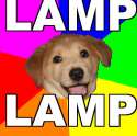 advicedog lamp.jpg