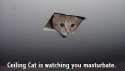 ceilingcat.jpg