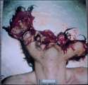 shotgun-suicide-2.jpg