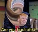 FB_IMG_1458342208504.jpg