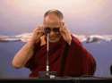 lama.gif
