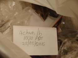 DSC05337.jpg