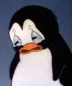 devastated penguin.jpg