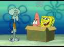 box.jpg