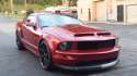 mah mustang.jpg