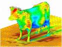 Aerodynamics of a Standard Cow.jpg