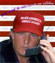 1 800 trump old glory.jpg