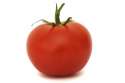 Tomate__7_4b71e7e13f85b.jpg