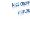 NICE CROPP SHITLOR.png