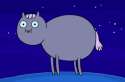 a horse.jpg