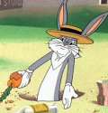 b bunny.jpg