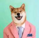 gif_03-22-05.51.56.gif