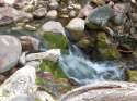 DSCN0717.jpg