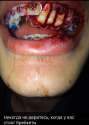 ________________________________2849245.jpg