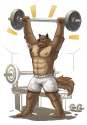 lifter.jpg