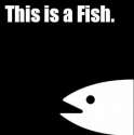 fish.jpg