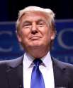Donald_Trump_6522122.jpg