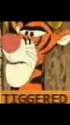 tiggered.jpg