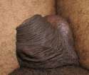 (LBC) NO dick niggel.jpg