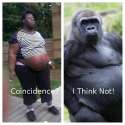Coincidence1.jpg