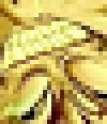 1458831865664.png