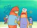 Load_of_Barnacles.jpg