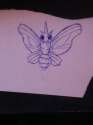 shitty moth.jpg