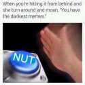 12783194_128606334197571_1652102710_n.jpg