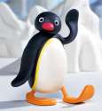 PINGU.jpg