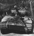 panthera_front_moving.jpg