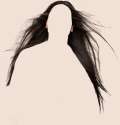 hair-psd89820.png