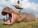 Hippo-hunting.jpg