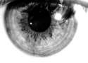 11810739315_195ac5c433_o.jpg