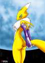 Yiffy Hentai Digimon - Renamon - want some tail.jpg