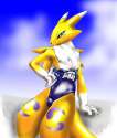 Yiffy Hentai Digimon - Renamon - you know you want me.jpg