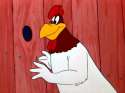 foghornleghorn-07.jpg