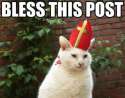 catpope.jpg