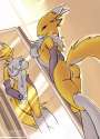 Look_in_the_mirror__Renamon_by_tailsrulz.jpg