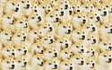 tmp_23580-100523-doge-internet-doge2035747863.jpg