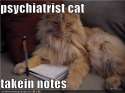 psychiatrist cat.jpg