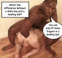 stealing-white-mans-shit2.jpg