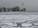 Frozen_Lake_by_Shinigami_Shimai.jpg