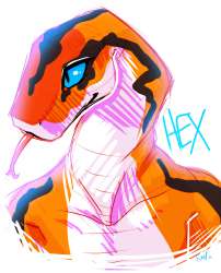 1413734834.fivel_hex2.png