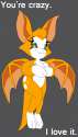 crazy_little_nimbat_by_saffronpanther-d68tucp.png