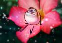 flower_.png