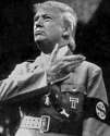trumpler.jpg