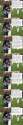tombstones01.jpg