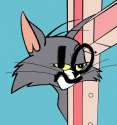 That_Cat.jpg