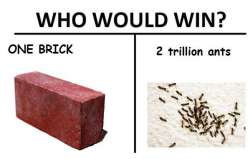 Who+would+win+fanmade+made+these+myself+since+the+other_bf2d76_5773922.jpg